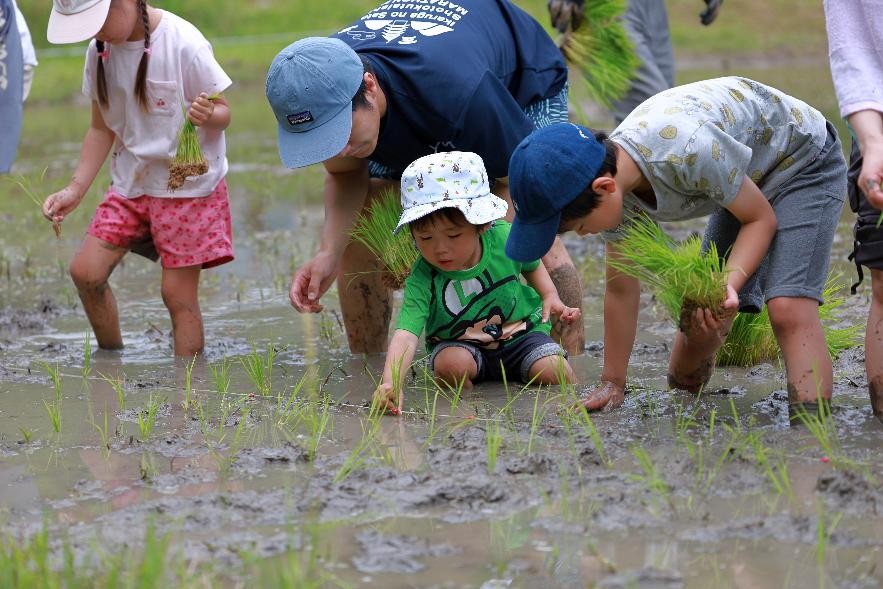 taue20250607p2